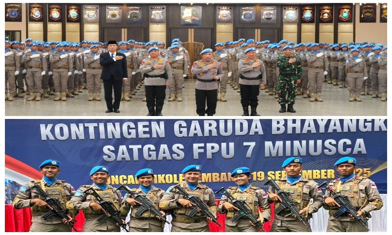 1006004786_800x480 1006004786_800x480